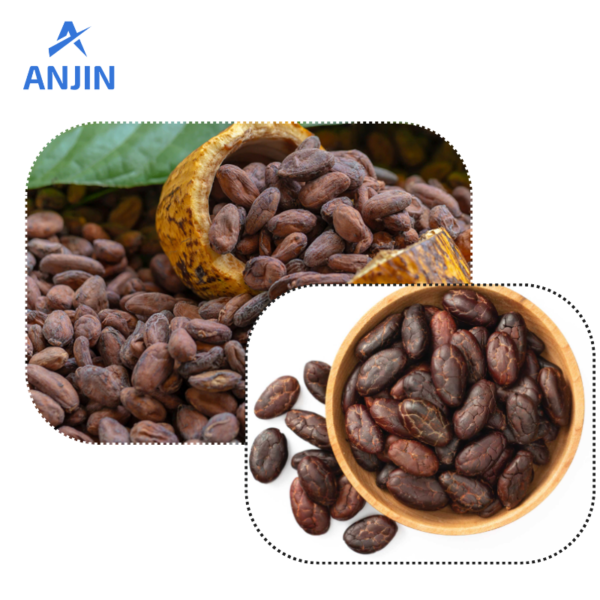 Cocoa bean peeling machine