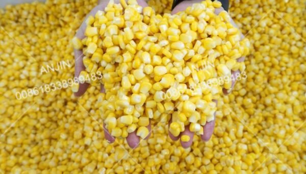 Fresh corn threshing machine