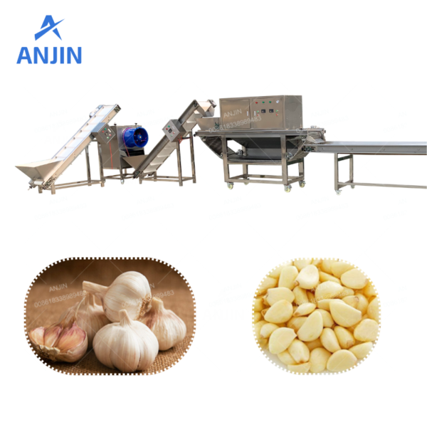 Industrial Garlic Skin Removing Line Garlic Peeling Line Garlic Cloves Processing Machine
