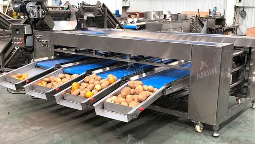 vegetable roller sorter